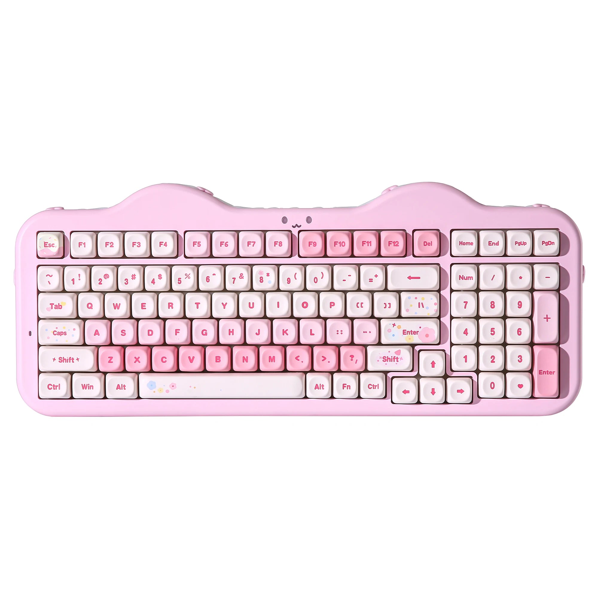 YUNZII C98 Wireless Mechanical Keyboard, 99-Key Hot Swap Gasket Keyboard with Numpad, Custom RGB Backlight,Cute Keeb for Win/Mac